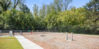 Mallard Creek Mallard Creek Gallery 55