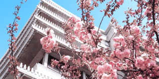 2700 VIRGINIA Avenue NW Gallery 13