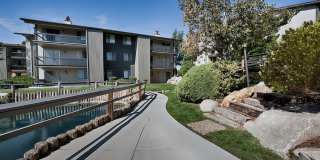 Country Lake Apartments Gallery 6