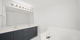 161 W Harrison Street Gallery 15