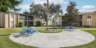 Silver Palms Gallery 23