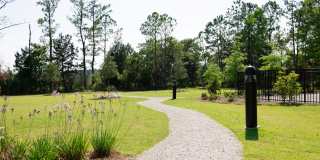 Reve on the Creek Gallery 19