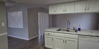 7005 Pin Cherry Ln Gallery 6