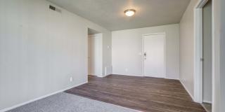Cherry Creek Gallery 3