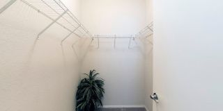 Vista Lake Ned Gallery 36