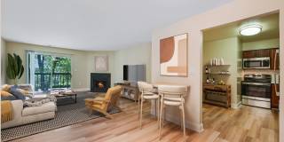 Poplar Glen Gallery 8