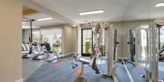 4200 Paradise Gallery 28