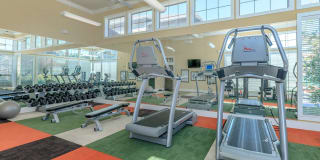 Affordable Housing - Cypress Creek on Jason Avenue Gallery 7