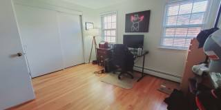 11 Elmwood Street Gallery 11