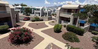 7928 East Colette Circle Gallery 1