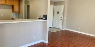 13046 Sycamore Village Drive Gallery 1