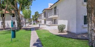 Tides on McDowell Gallery 13