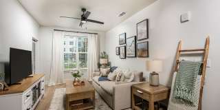 Arcadia 331 Gallery 28