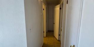 3185 Gallery 16