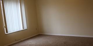 TRENT 543 Gallery 16