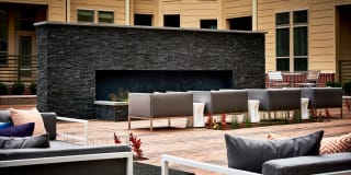 Evolution at Towne Centre Gallery 4