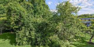 23 IVY OAK CT Gallery 27