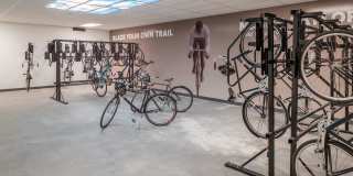 Alexan Webster Gallery 16