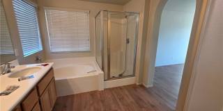 14279 Wildcat Gallery 10