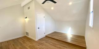 501 Orange Blossom Gallery 5