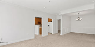 Rockville, MD Gallery 17