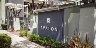 Avalon at Cahill Park Gallery 22