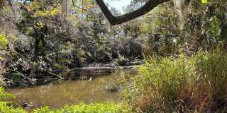 2746 ORCHID OAKS DRIVE Gallery 48