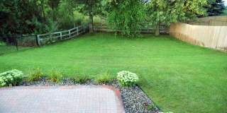Beautiful 3 bedroom + Den, 2 Bathroom, 3 car garage single family home. MUST SEE! Gallery 29