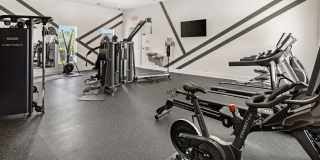 Cadence at Cates Creek Gallery 23