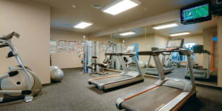 Brownridge Terrace Gallery 5