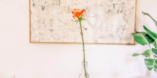 Haven Rio Gallery 14