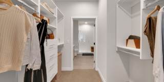 Piper Piper Gallery 9