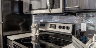 Wilshire Place Apartments Gallery 8