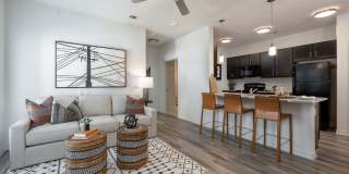 Moonlight Gallery 11