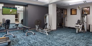 The Ellipse on Excelsior Gallery 28