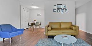 Premier Apartments Gallery 4