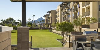 Citrine Apartments Arcadia Gallery 15