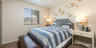 Eight20 Apartments Gallery 5