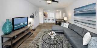 Sunny Lake Gallery 41