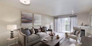 Highland Park Gallery 5