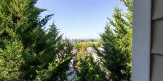Four Bedroom Home with Amazing Views in Bull Mountain! Gallery 34