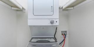 Agave on 83rd Gallery 14