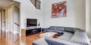 4189 Texas Elm Gallery 4