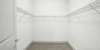 Olympus at Memorial Gallery 57