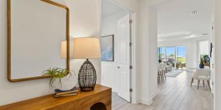 Marisol Bradenton - Built to Rent Housing Gallery 25