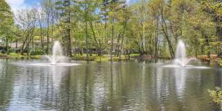 124 Foxwood Drive Gallery 31