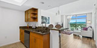 13700 Marina Pointe Drive Gallery 2