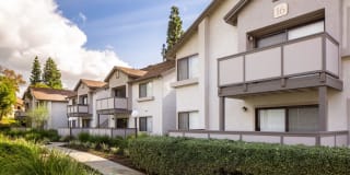 The Arbors Gallery 40