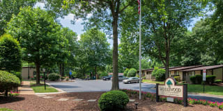 Saddlewood Gallery 22