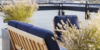 The Madelon Gallery 20